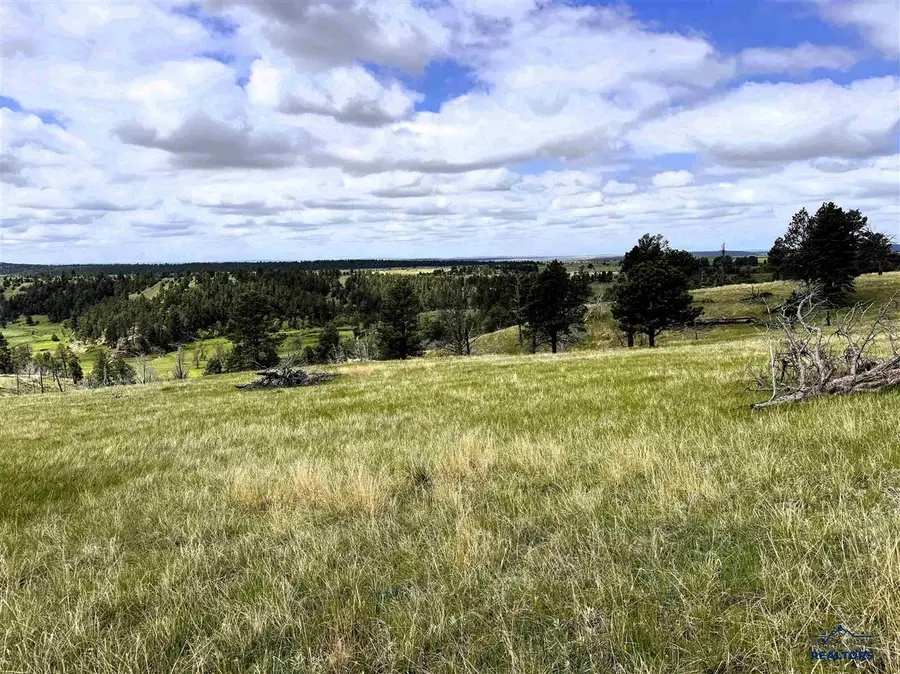 165 Gruenhagen Rd, Pine Haven, WY 82721 - #3