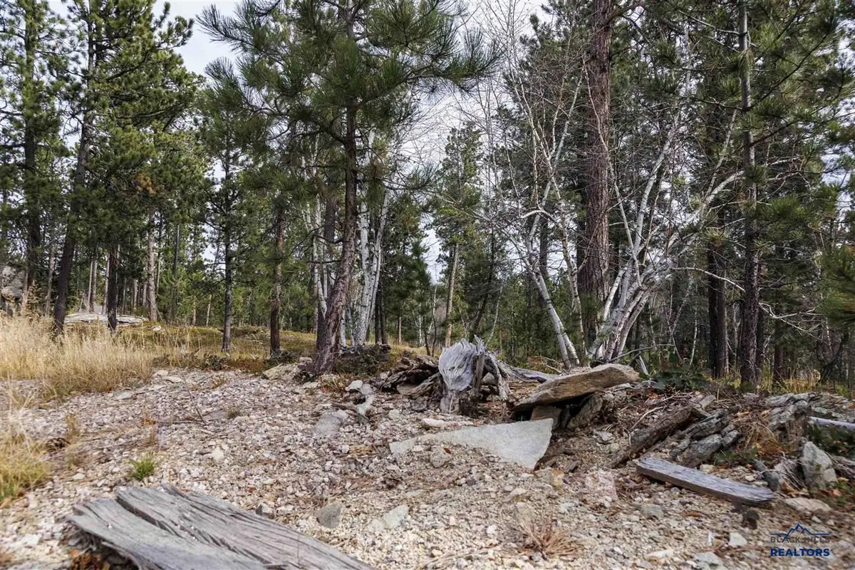 Lot 4 Blk 8 Autumn Lane, Lead, SD 57754 - #1