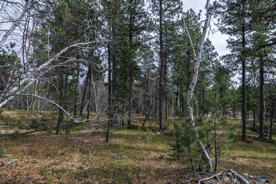 Lot 4 Blk 8 Autumn Lane, Lead, SD 57754 - #2