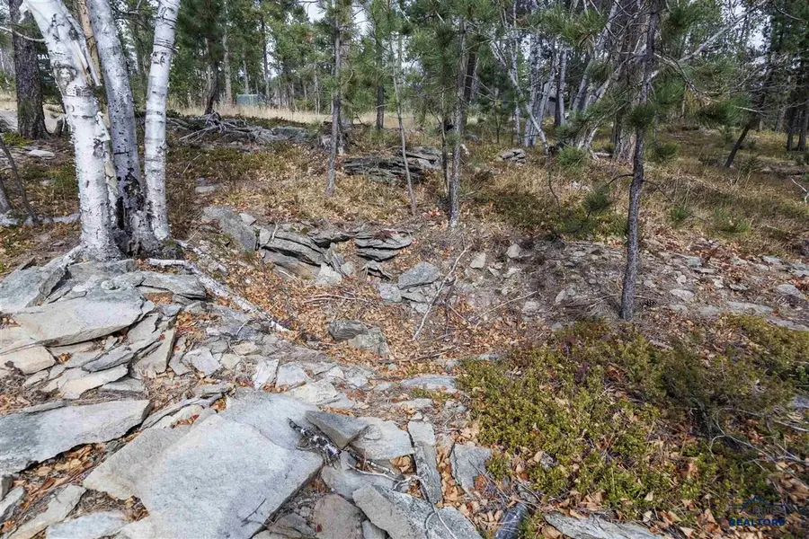 Lot 4 Blk 8 Autumn Lane, Lead, SD 57754 - #3