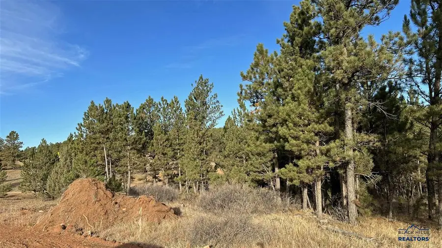 Lot 5 Westwind Drive, Hot Springs, SD 57747 - #3