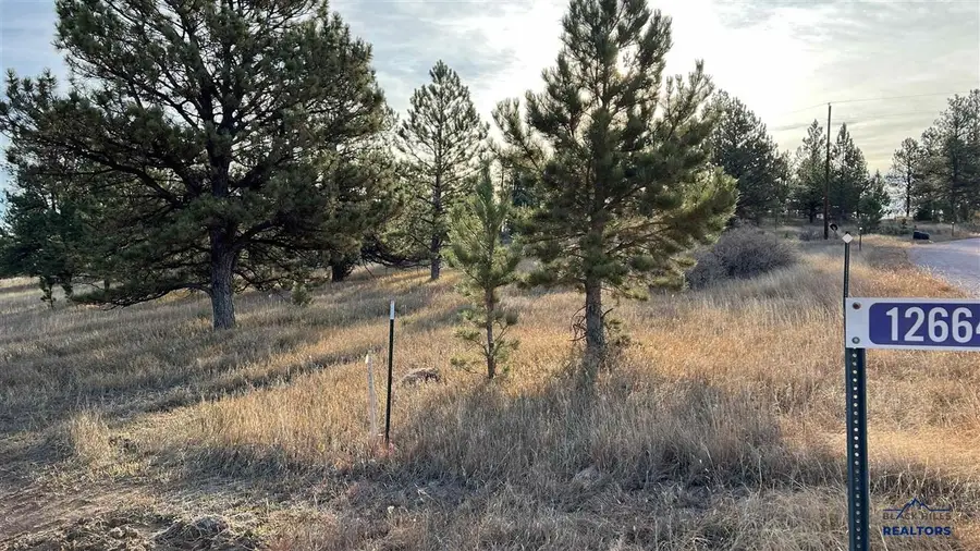 Lot 1 Westwind Drive, Hot Springs, SD 57747 - #3