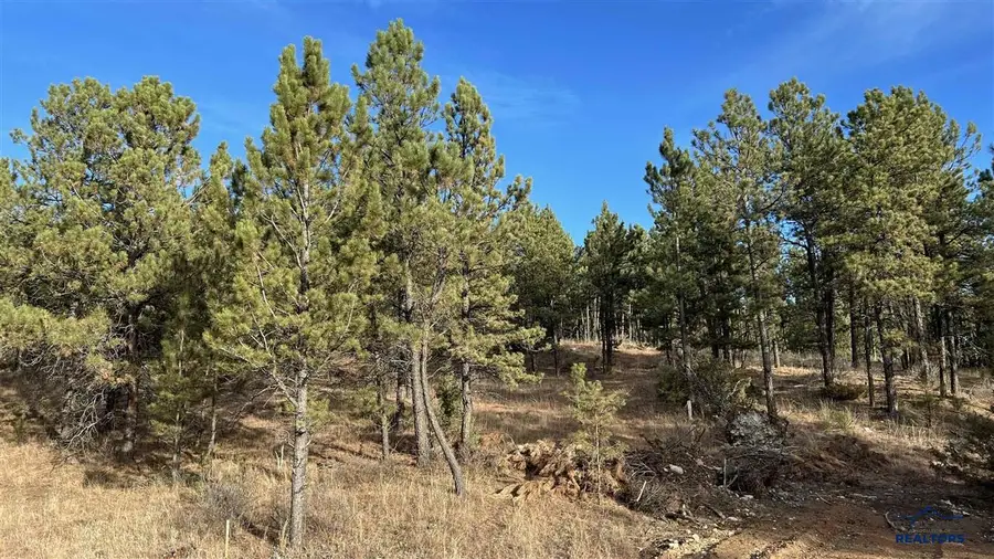 Lot 11 Northview Court, Hot Springs, SD 57747 - #3