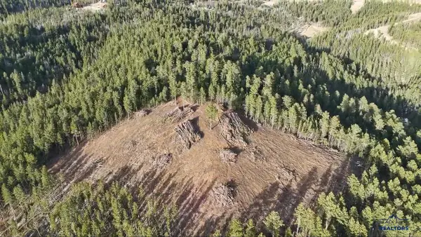 Lot 191 Deer Mountain Road, Lead, SD 57754-0000