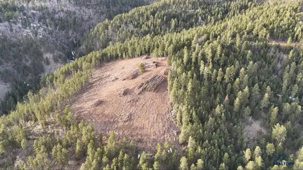Lot 193 Deer Mountain, Lead, SD 57754-0000