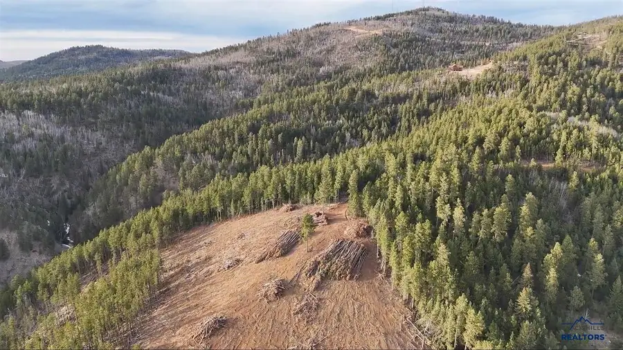 Lot 193 Deer Mountain, Lead, SD 57754-0000 - #2