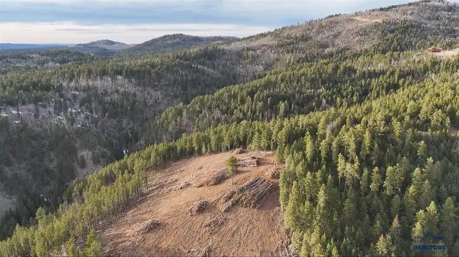 Lot 193 Deer Mountain, Lead, SD 57754-0000 - #3