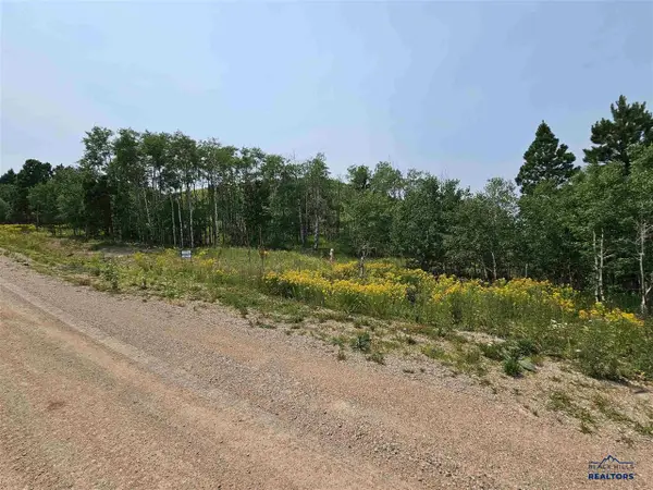20933 Majestic Heights Road, Sturgis, SD 57785