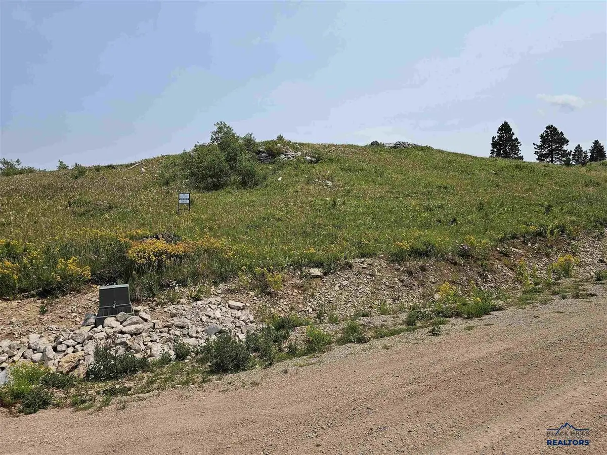 20930 Majestic Heights Road, Sturgis, SD 57785 - #1