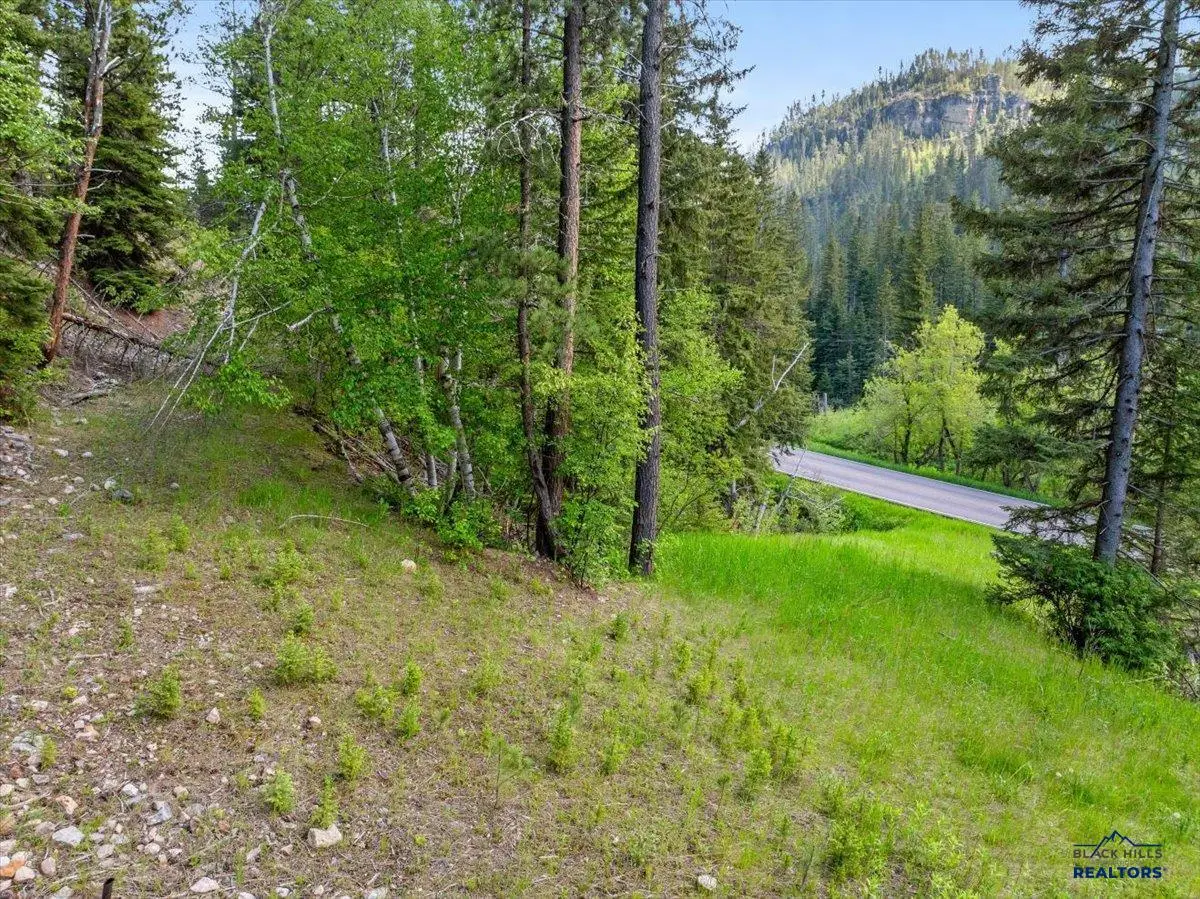 M.S. 1742 Lot 2 Us Hwy 14a, Lead, SD 57754 - #1