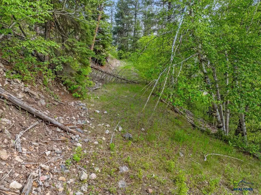 M.S. 1742 Lot 2 Us Hwy 14a, Lead, SD 57754 - #2