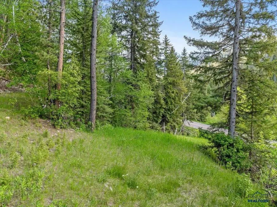 M.S. 1742 Lot 2 Us Hwy 14a, Lead, SD 57754 - #3