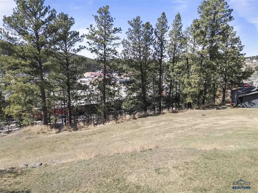TBD Pine Mountain Avenue, Hill City, SD 57745 - #2
