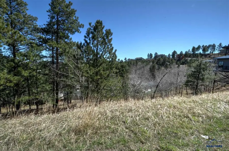 TBD Mountain View Dr, Lead, SD 57754 - #3