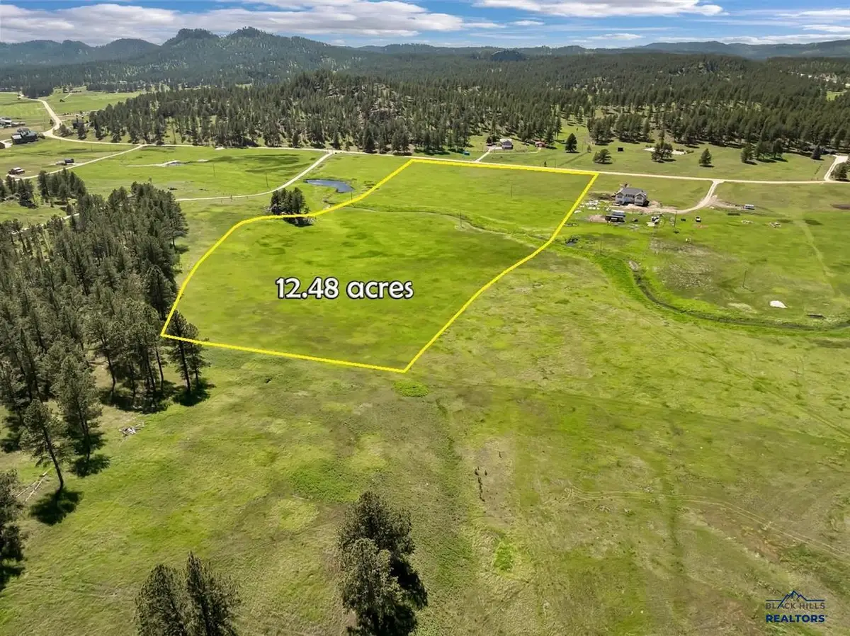 TBD Lot 3 Pleasant Valley Road, Custer, SD 57730-9166 - #1