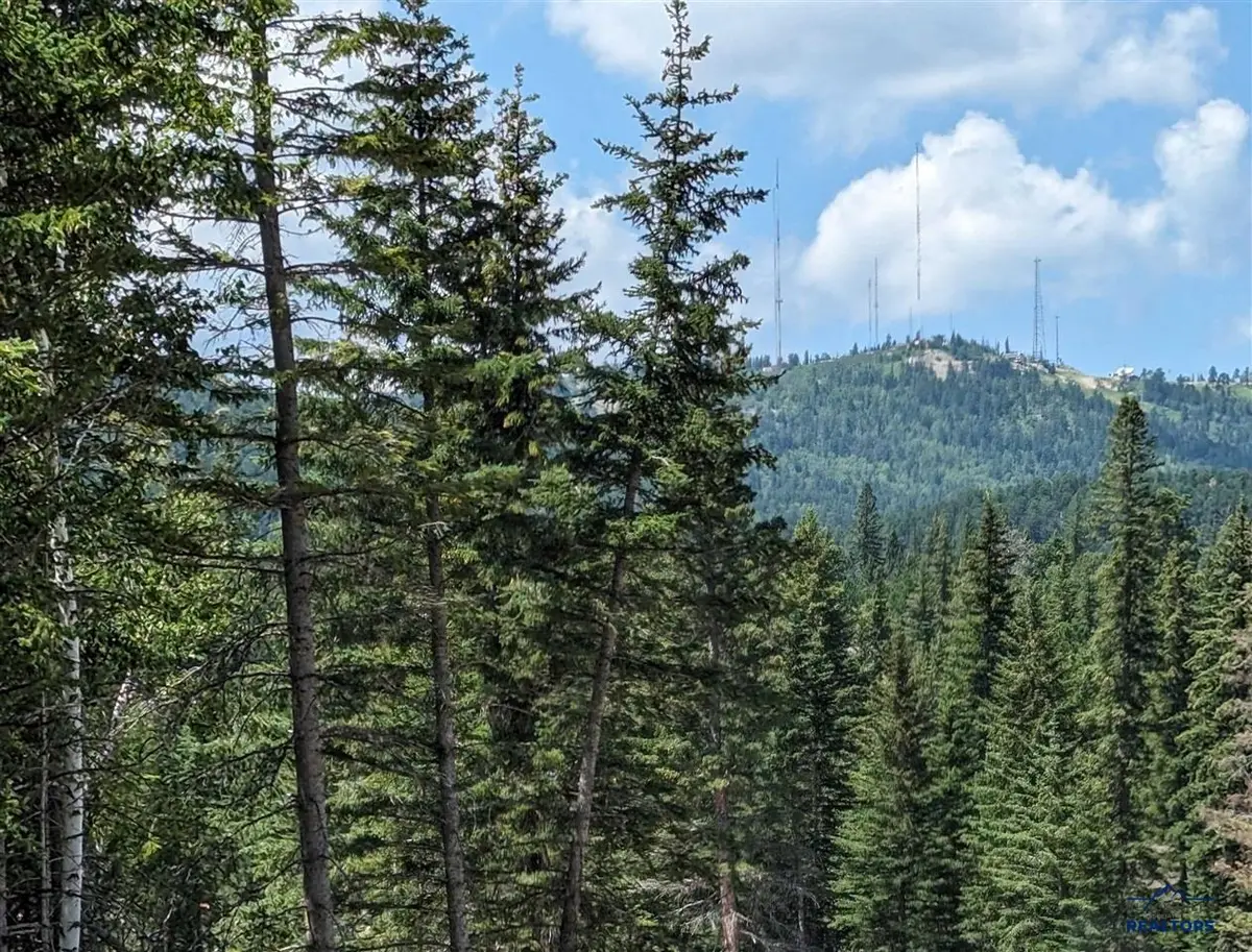 Lot 14 Block 5 Overlook Court, Lead, SD 57754 - #1