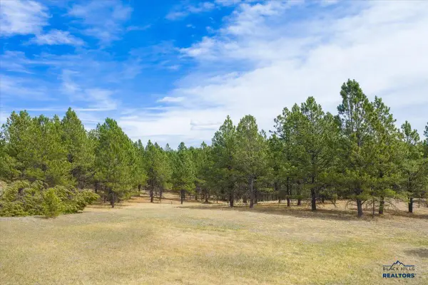 TBD W Argyle Road, Custer, SD 57730