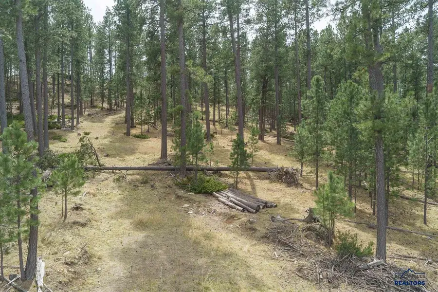 22580 Hazel Ln, Rapid City, SD 57702 - #2