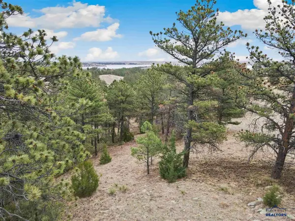 Lot 2 Lake Hills Rd, Hot Springs, SD 57747