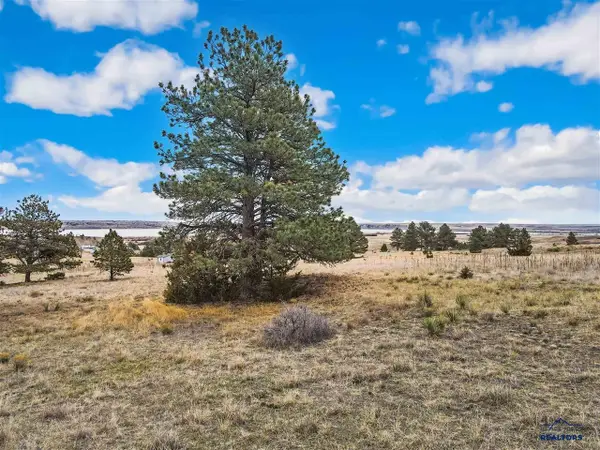Lot 5 Lake Hills Rd, Hot Springs, SD 57747