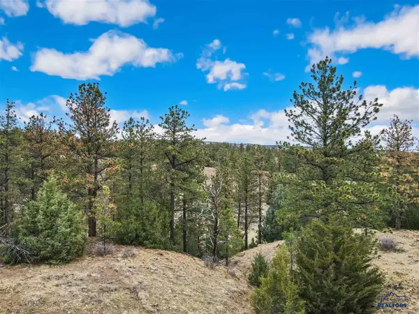 Lot 6 Lake Hills Rd, Hot Springs, SD 57747