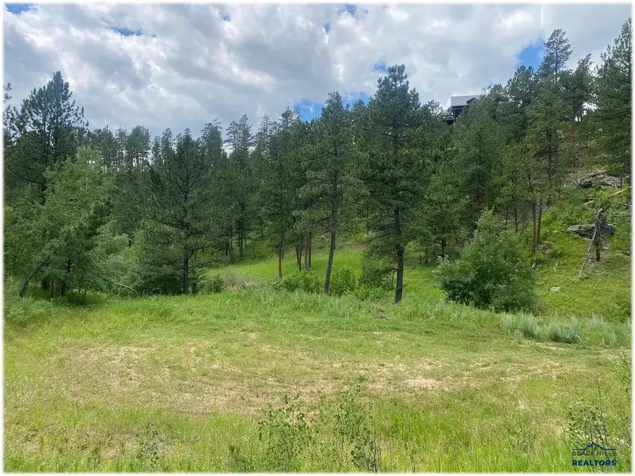 1000 Bette Matkins Avenue, Hill City, SD 57745 - #3