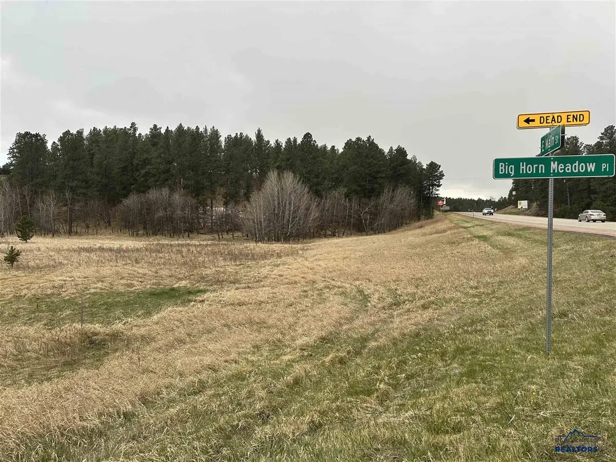 23970 Hwy 385, Hill City, SD 57745 - #1