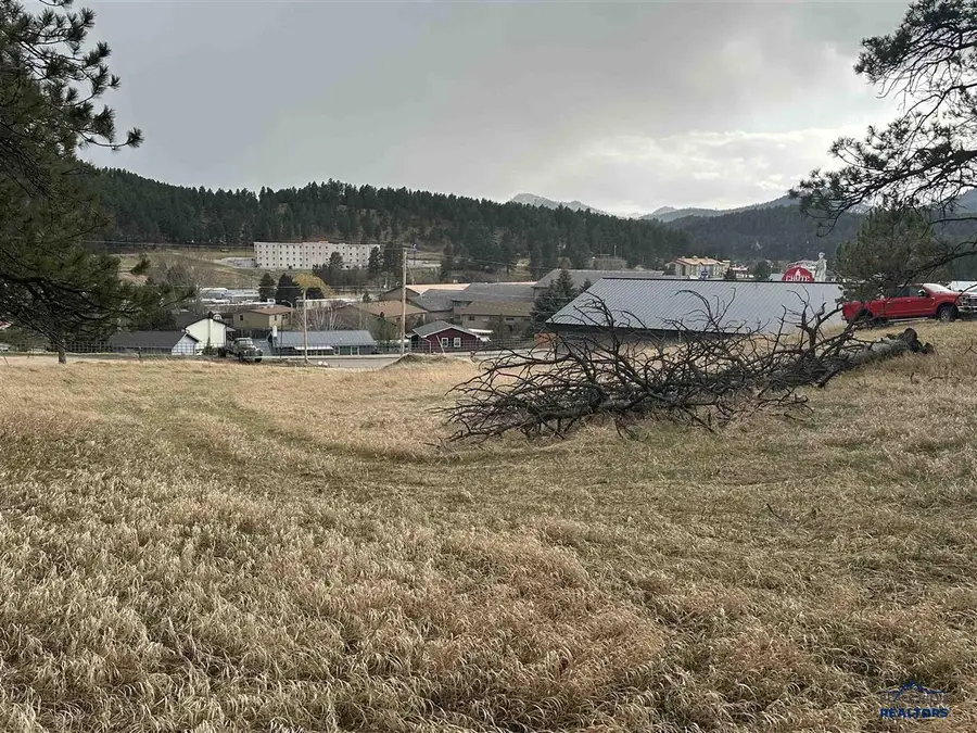 23970 Hwy 385, Hill City, SD 57745 - #3