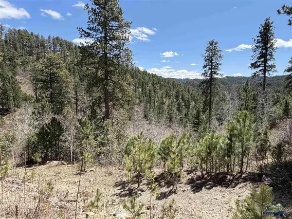 TBD Aspen Creek Dr, Lead, SD 57754