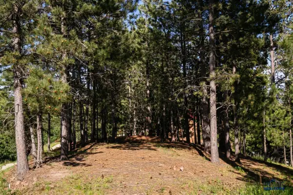 TBD Davidson Court, Lead, SD 57754