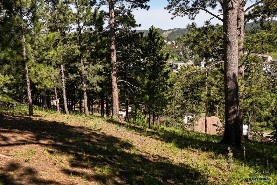 TBD Davidson Court, Lead, SD 57754 - #3