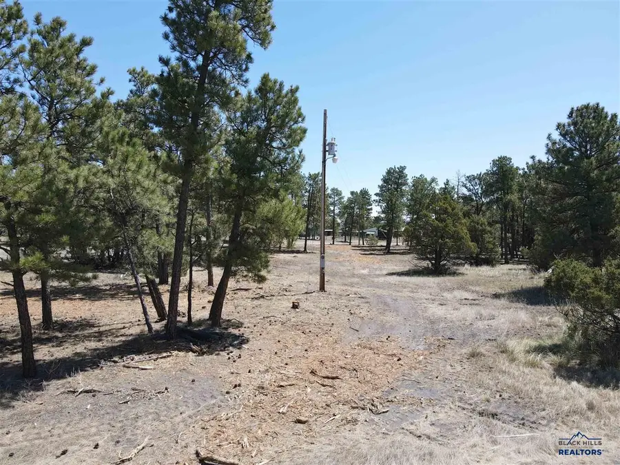 TBD Pine Avenue, Upton, WY 82730 - #2