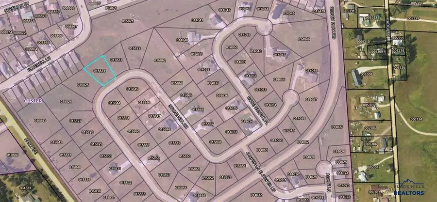 Lot 9, Block 1 Stone Hill, Custer, SD 57730 - #3