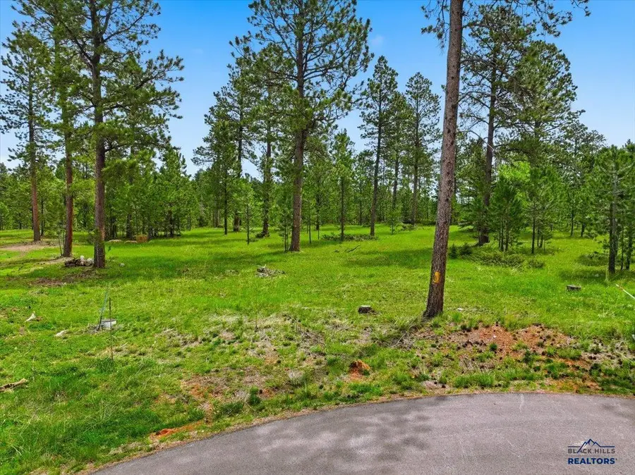 TBD Misty Moon Court, Lead, SD 57754 - #3