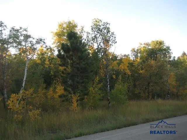 Lot 1 Lark Spur Road, Sturgis, SD 57785 - #1