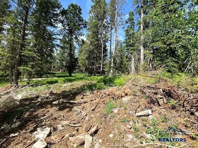 Lot 25 Blue Sky Loop, Lead, SD 57754 - #2