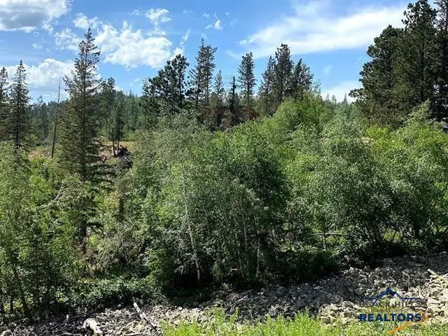 Lot 25 Blue Sky Loop, Lead, SD 57754 - #3