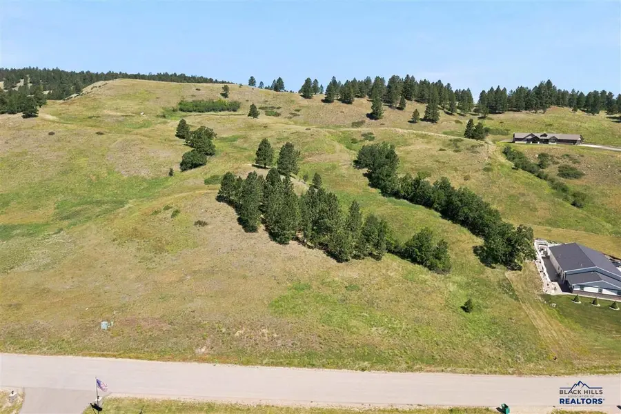 3713 Twisted Oak Rd, Sturgis, SD 57785 - #2