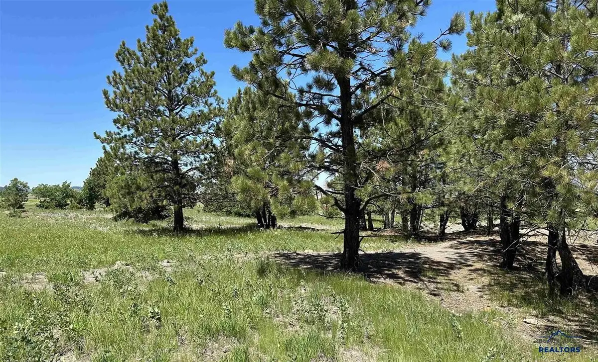 TBD Epic Lane, Sturgis, SD 57785 - #1