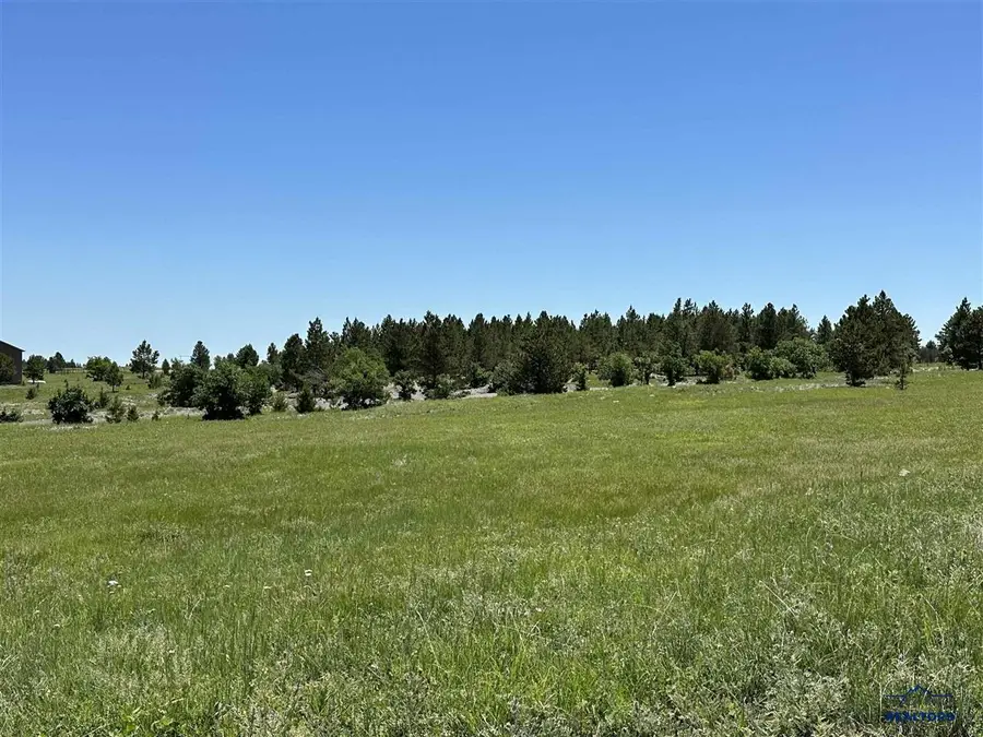 TBD Epic Lane, Sturgis, SD 57785 - #2