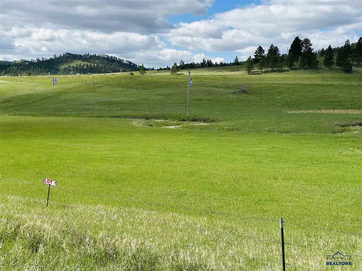 Lot 1 McVey RD, Hill City, SD 57745 - #1