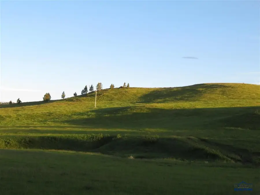 Lot 1 McVey RD, Hill City, SD 57745 - #2