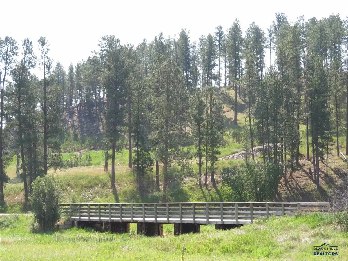 Blk 7 Lot 6, Hill City, SD 57745 - #1