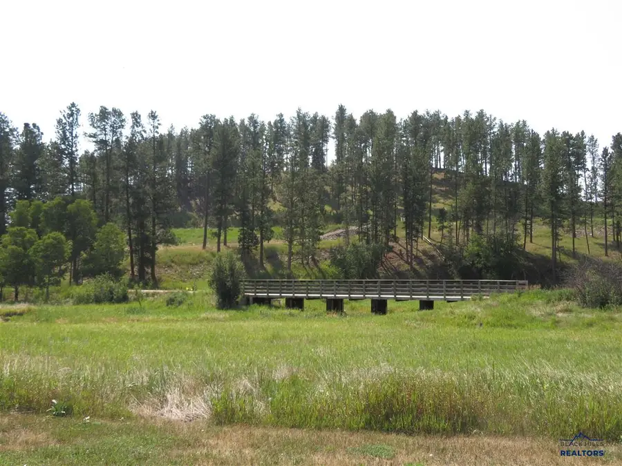 Blk 7 Lot 6, Hill City, SD 57745 - #2