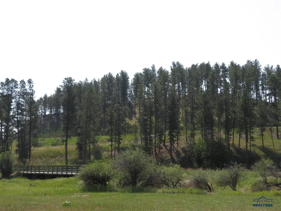 Blk 7 Lot 6, Hill City, SD 57745 - #3