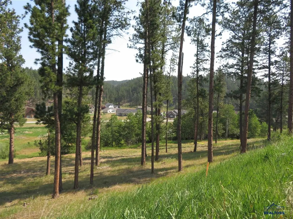 Blk 7 Lot 7, Hill City, SD 57745 - #1