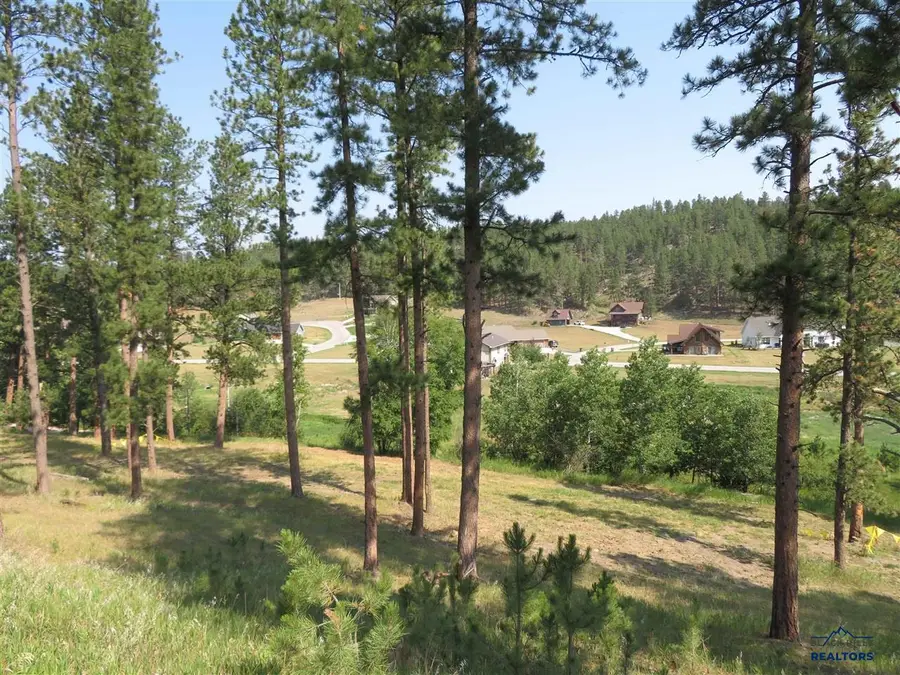 Blk 7 Lot 7, Hill City, SD 57745 - #2