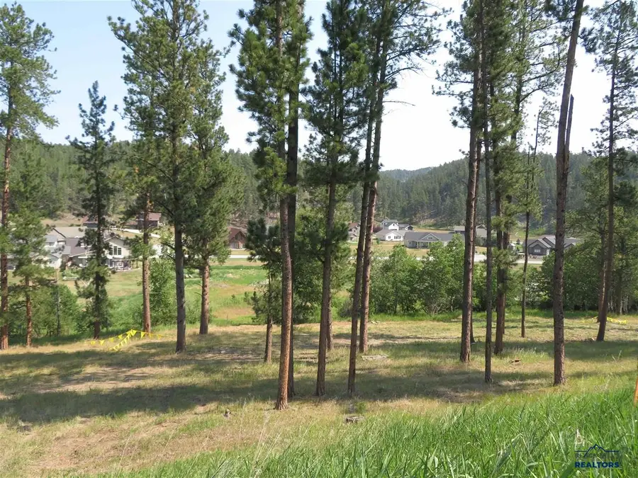 Blk 7 Lot 7, Hill City, SD 57745 - #3