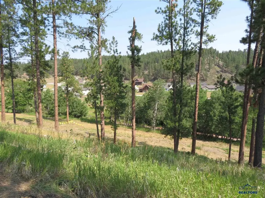 Blk 7 Lot 8, Hill City, SD 57745 - #2