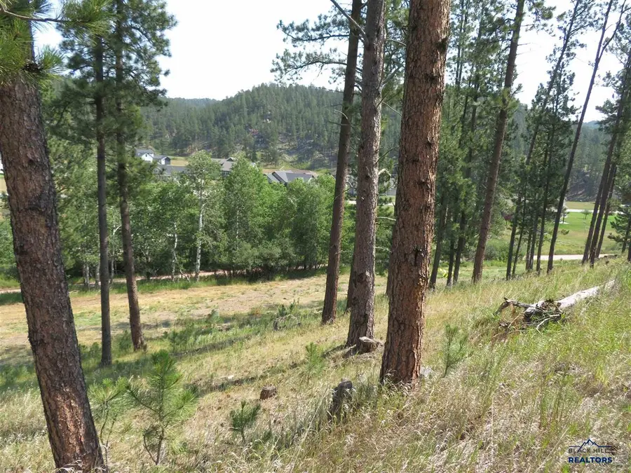 Blk 7 Lot 8, Hill City, SD 57745 - #3